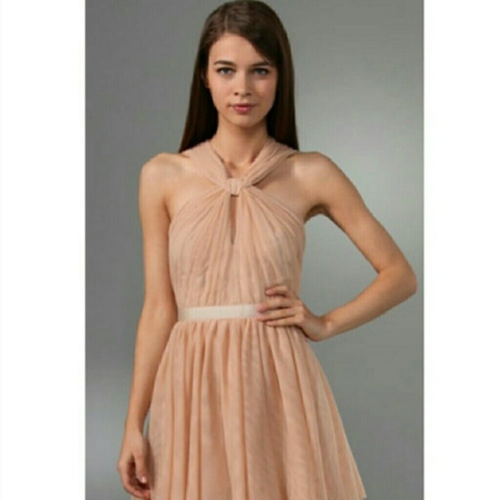 Club Monaco Tulle Dress